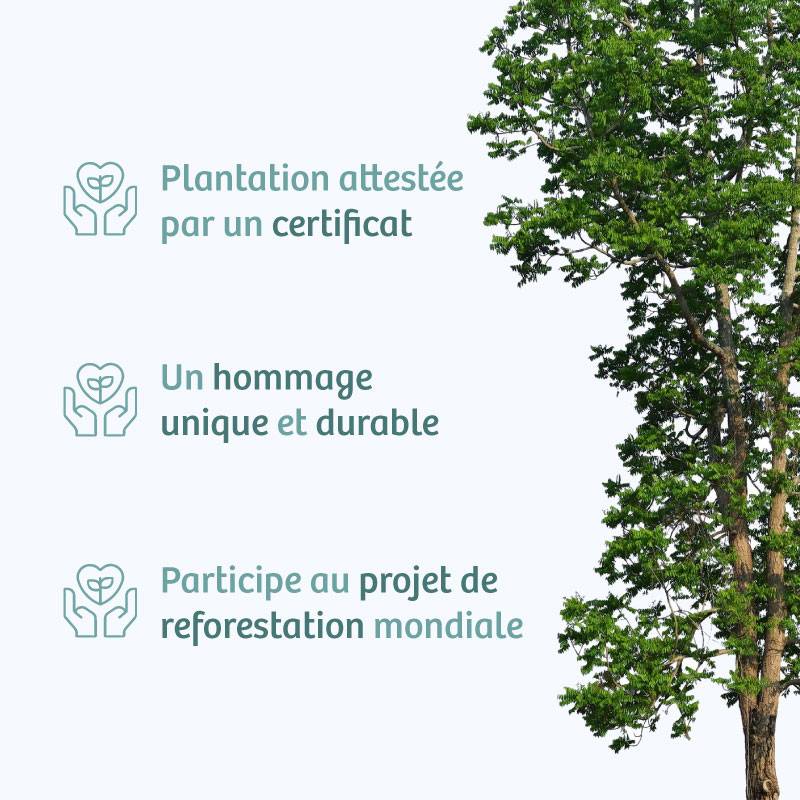 Planter un arbre en hommage à Mme Jeannine EDET Née SAUSSEREAU